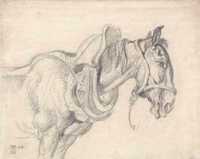 Head and Shoulders of a Cart Horse by James Ward